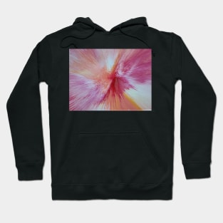 Pinkie spin Hoodie